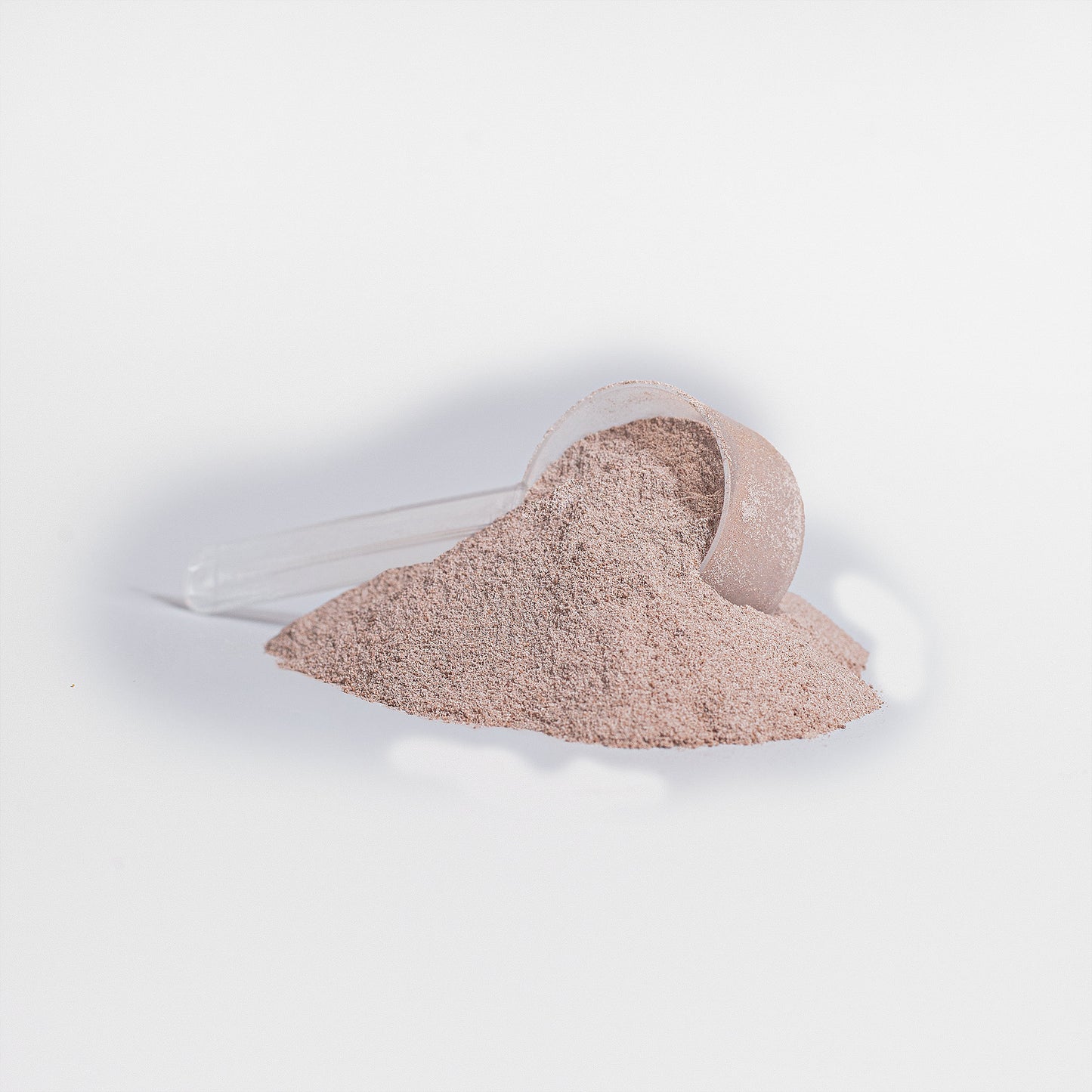 High-Quality Plant Protein (Vanilla)
